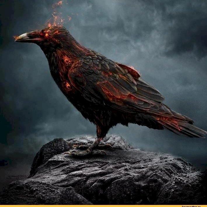 Фото профиля VoronYkt