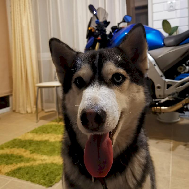 Фото профиля Александр Ильющенко