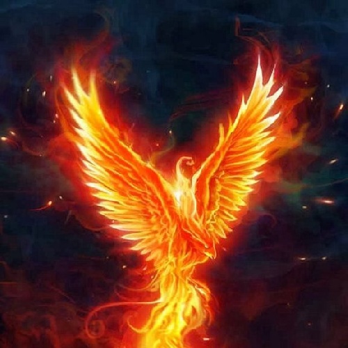 Фото профиля Fenix