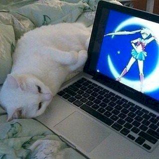 Фото профиля Александра Крайняя