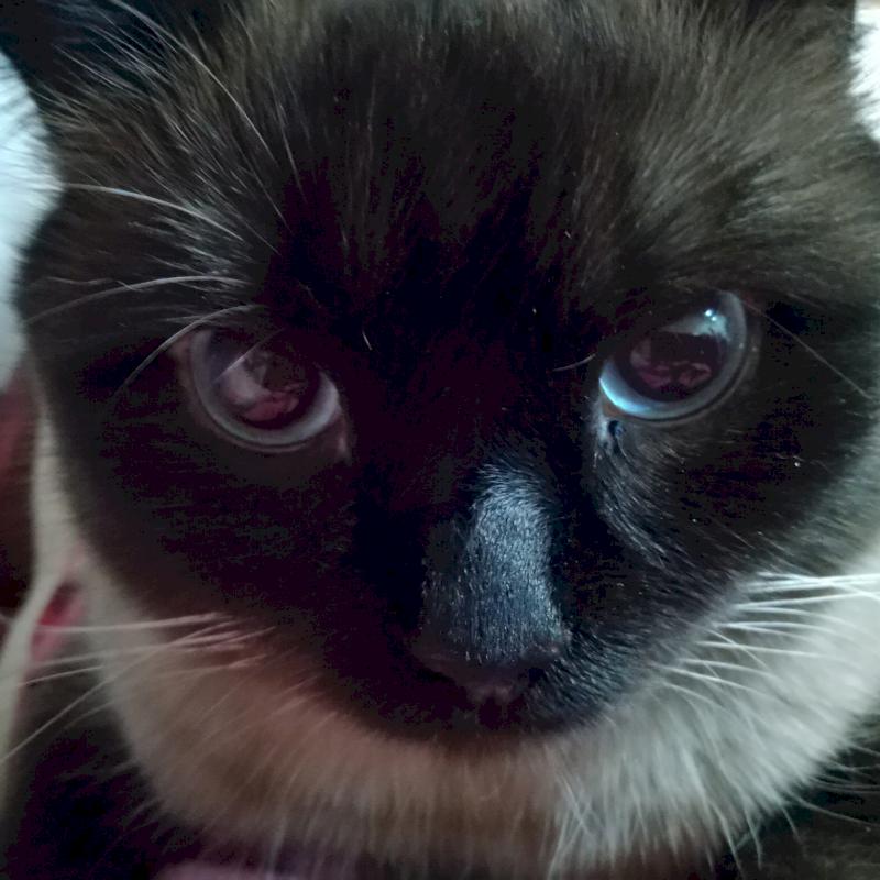 Фото профиля Agentm18