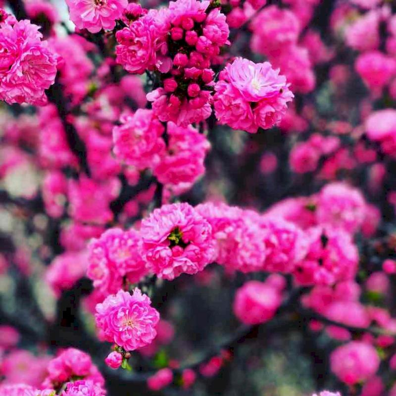 Фото профиля _foryou_20