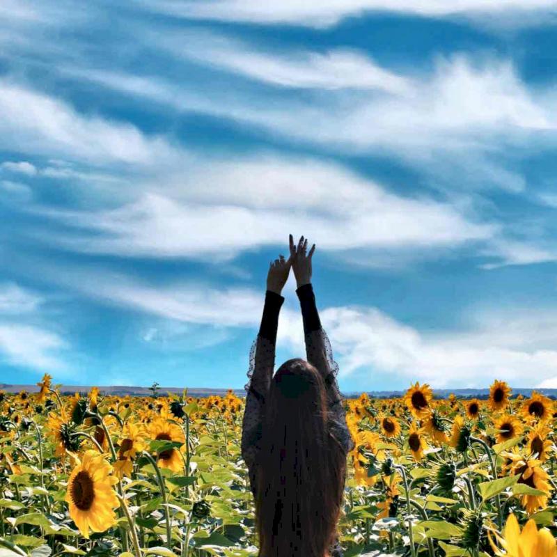 Фото профиля Ксения Абдурашитова