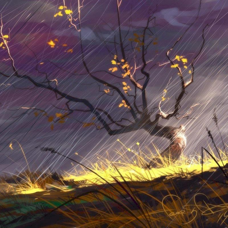 Фото профиля Саня Филин