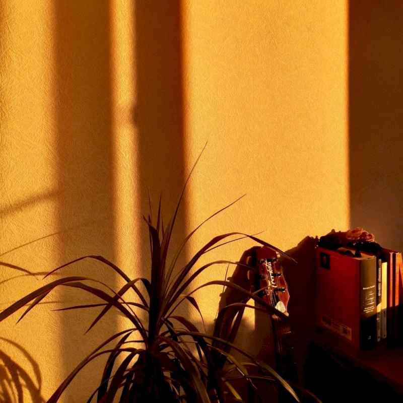 Фото профиля Pierrot lla