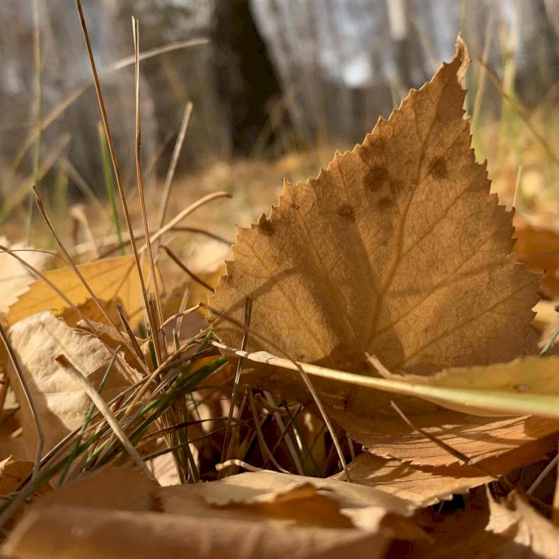 Фото профиля Андрей