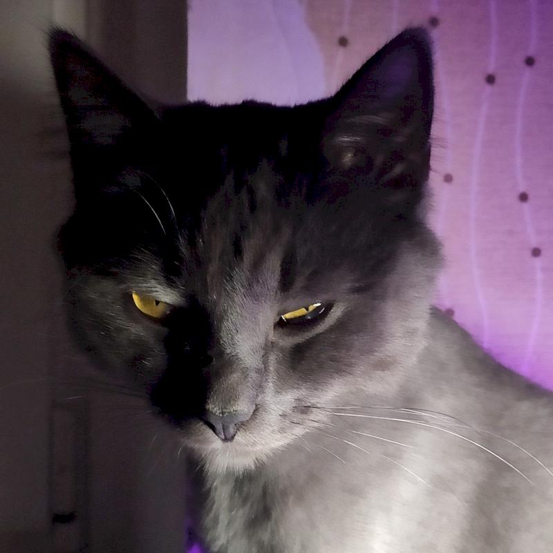 Фото профиля Никита Рубинов