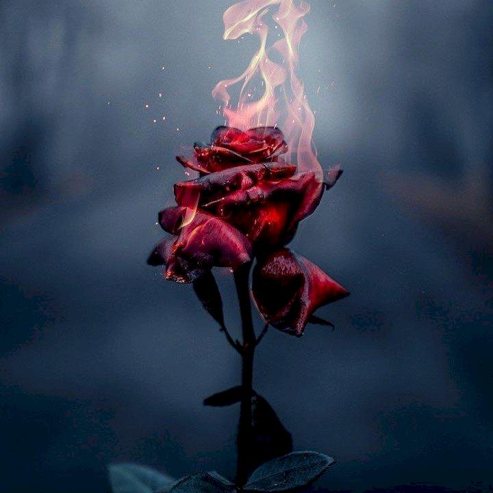 Фото профиля Диана Волкова