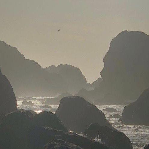 Фото профиля endless insomnia