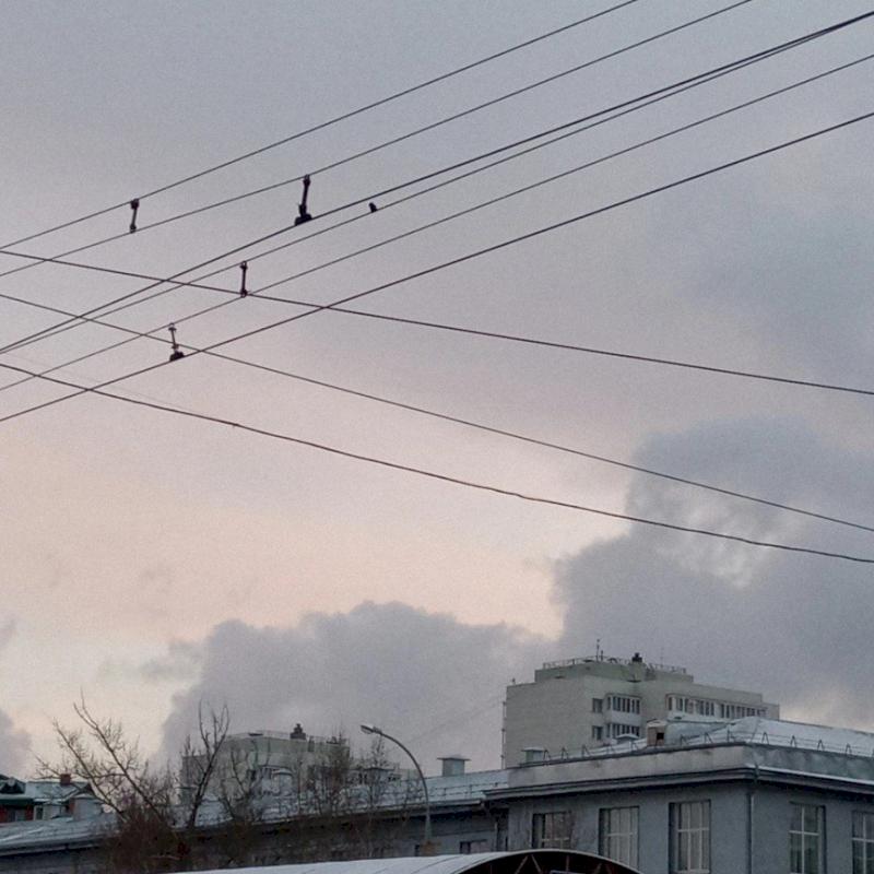 Фото профиля Гагарина Милена