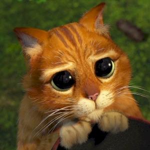 Фото профиля Lestor