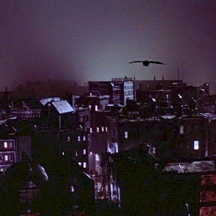 Фото профиля Алексей Красовский