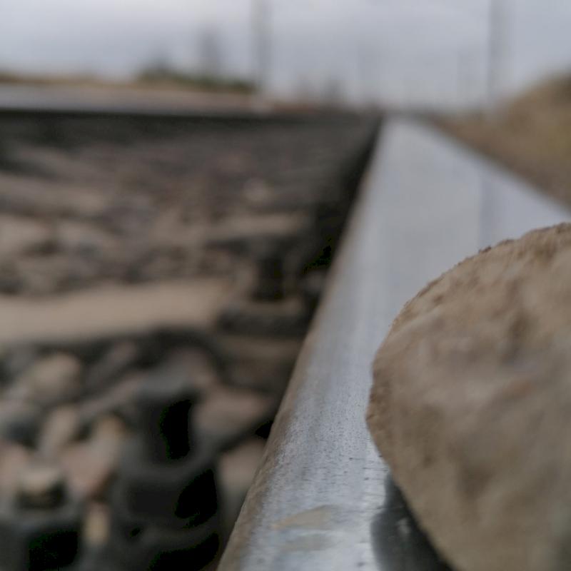 Фото профиля Дарья Хомячкова