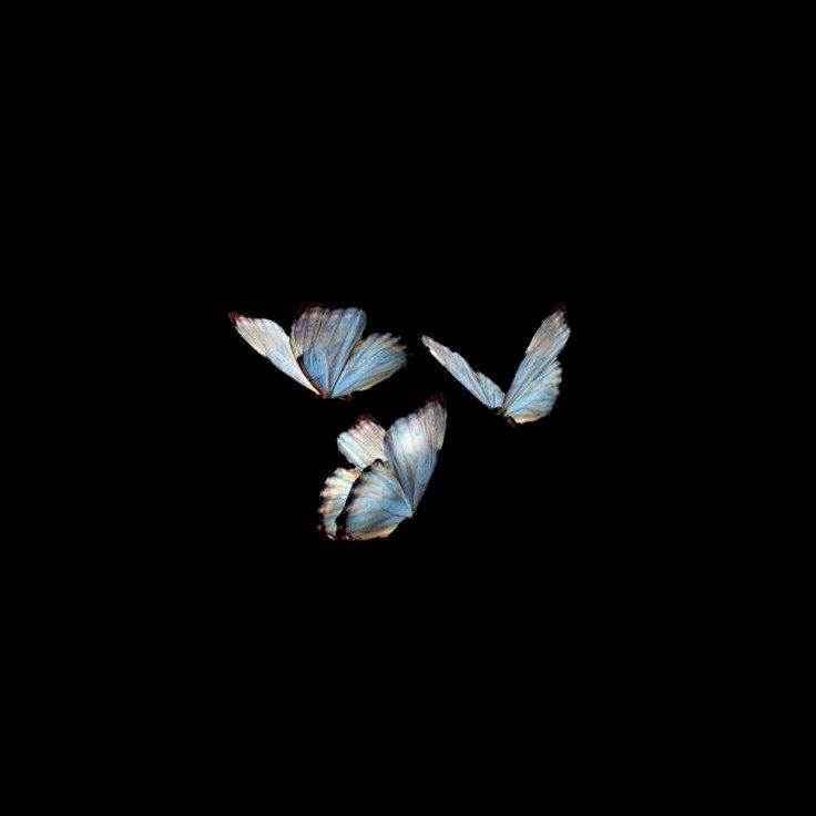 Фото профиля Франциска