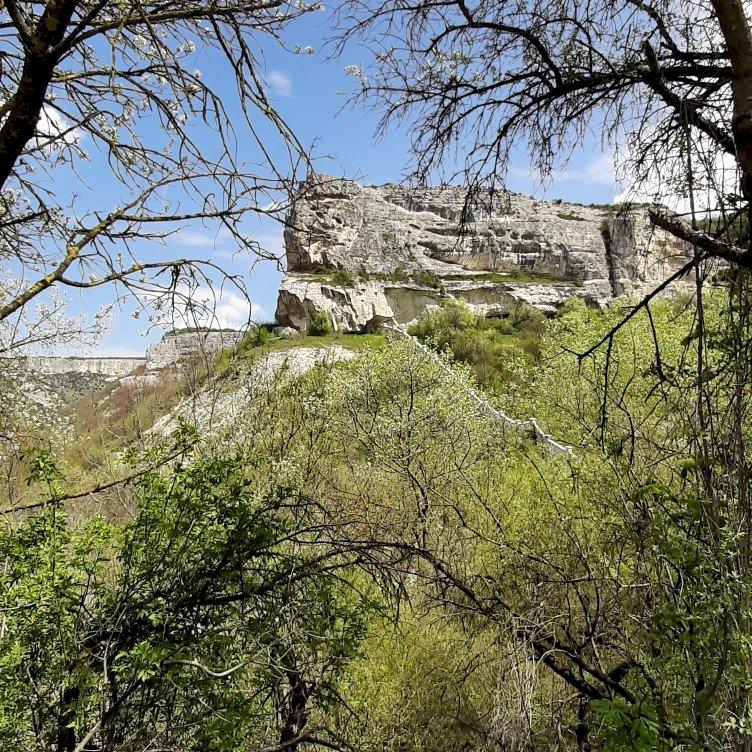 Фото профиля Снег