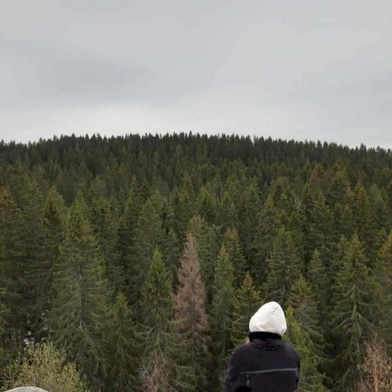 Фото профиля Юлия Гриднева