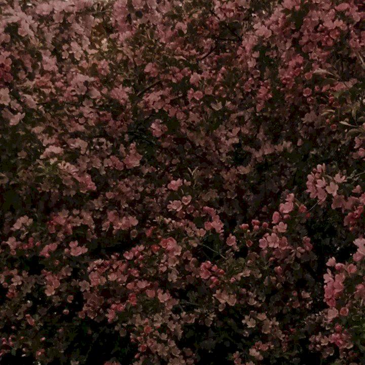 Фото профиля Берсенев Арсений