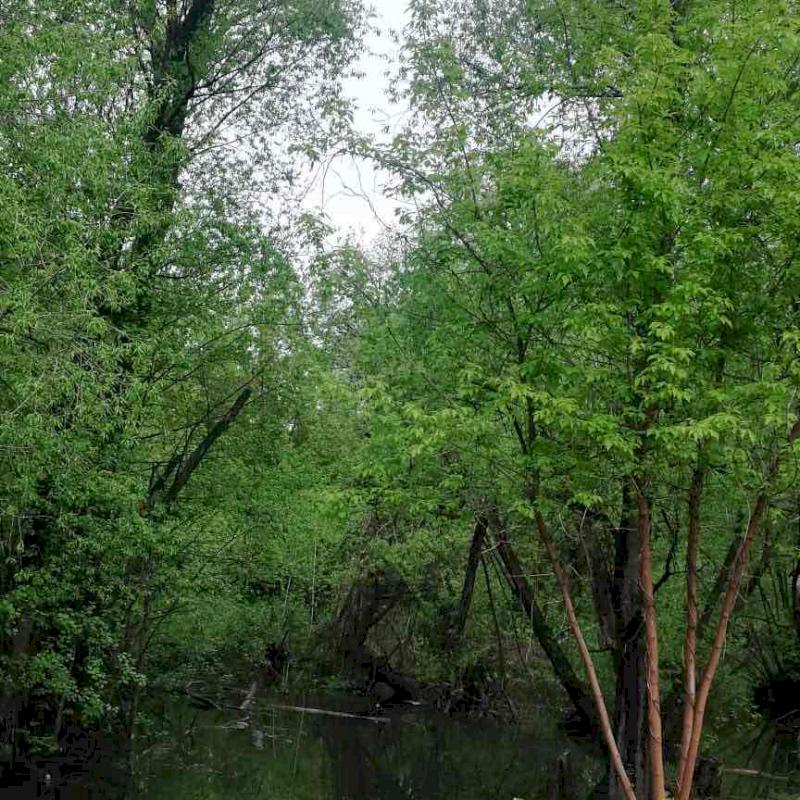 Фото профиля Алексей 01 