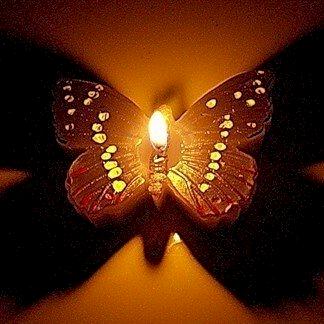 Фото профиля Мотылек