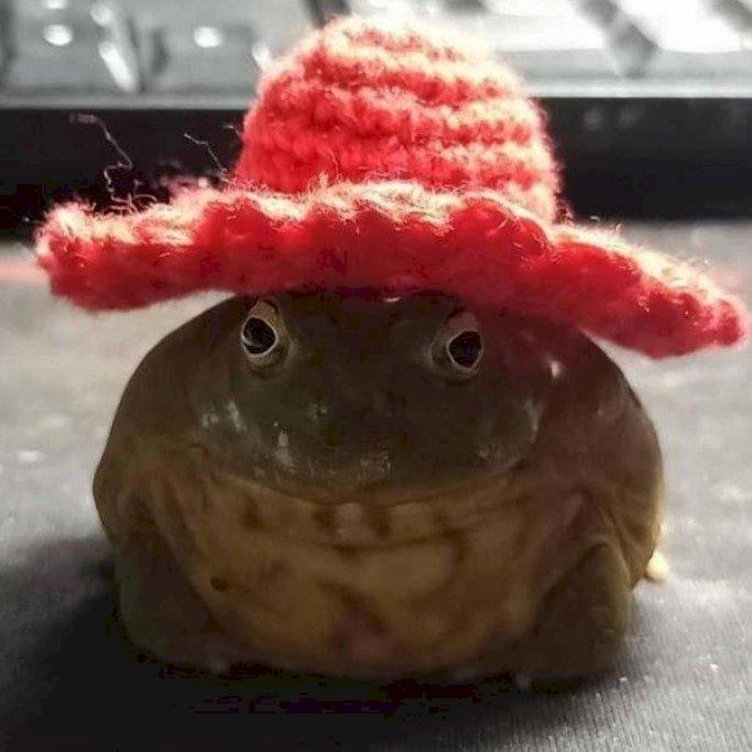 Фото профиля Альтер