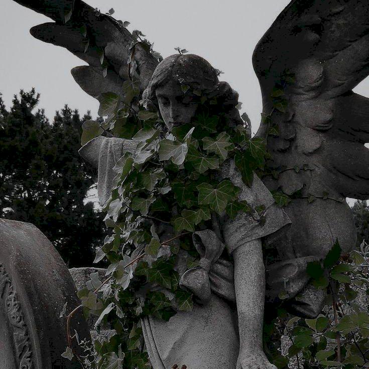 Фото профиля Калерия Опазданцева