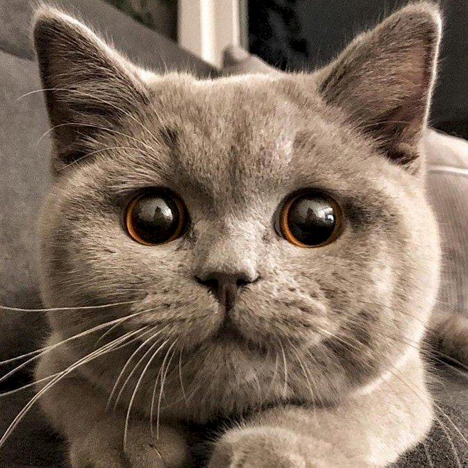 Фото профиля Анна Кот