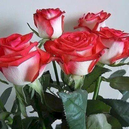 Фото профиля Валентина 