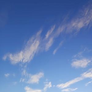 Фото профиля Зали