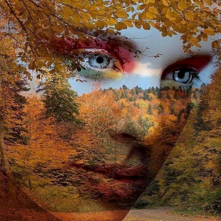 Фото профиля Екатерина Кравченко