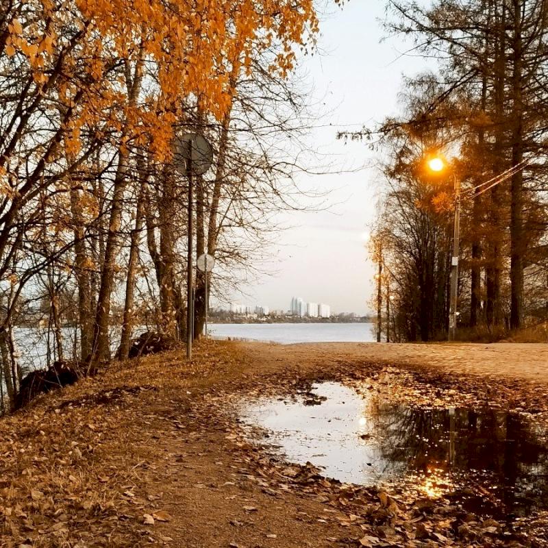 Фото профиля Filipok Nikolskiy