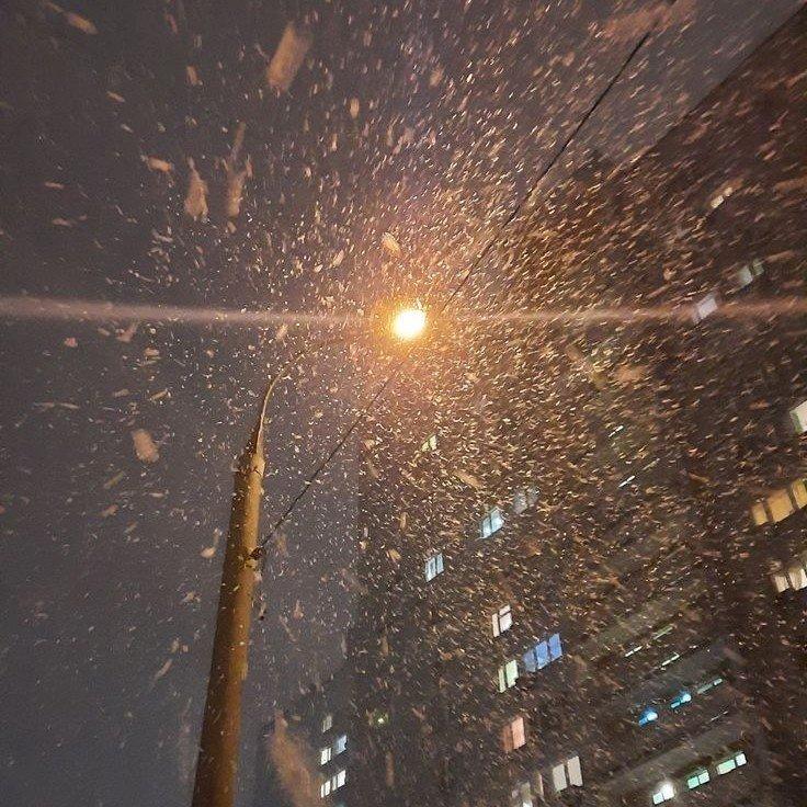 Фото профиля Норика Аим