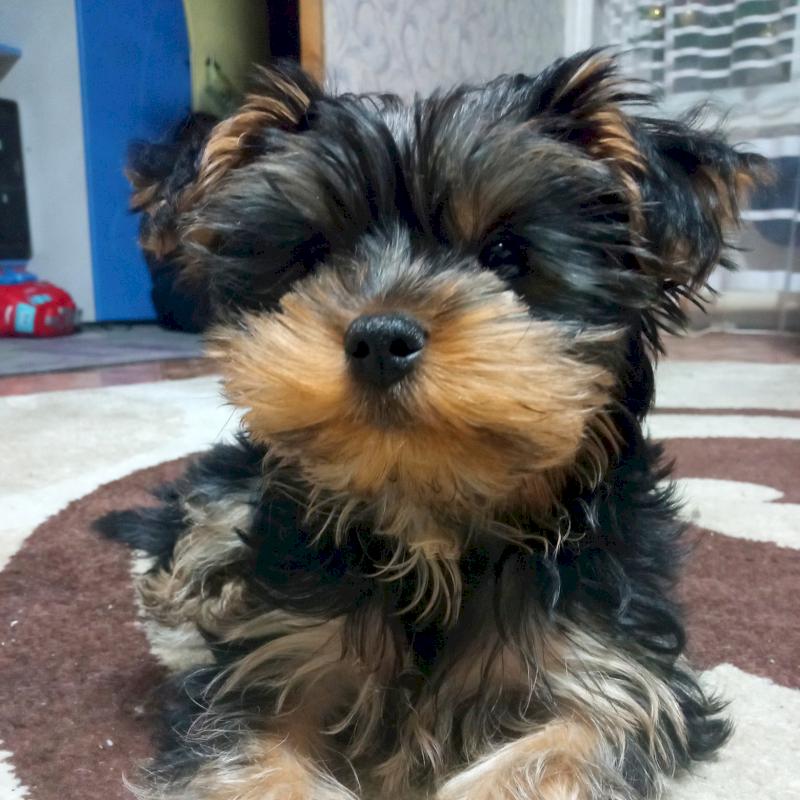 Фото профиля AnnA