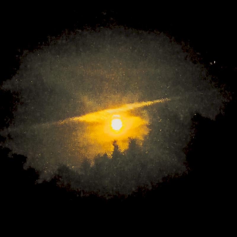 Фото профиля гад