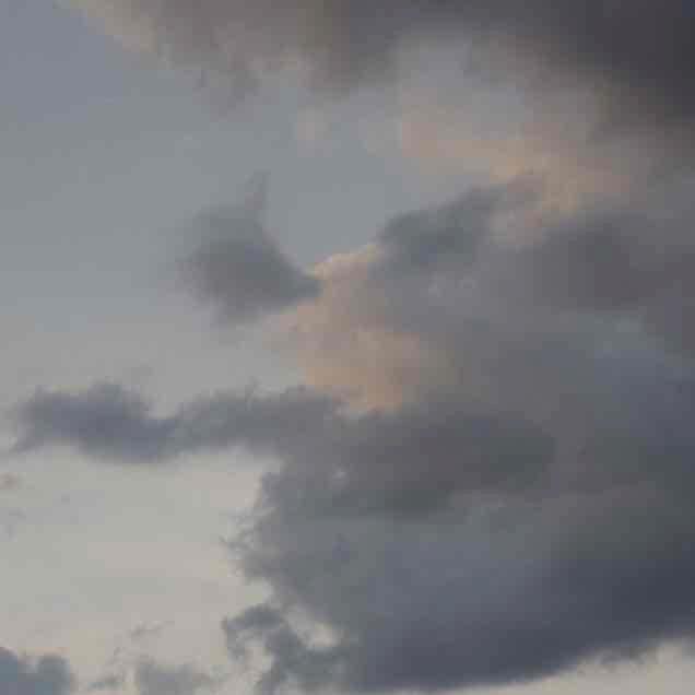 Фото профиля вера 