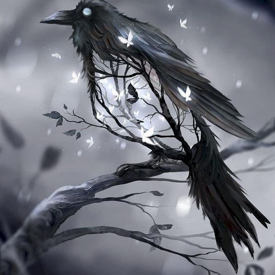 Фото профиля Melissa Dark 