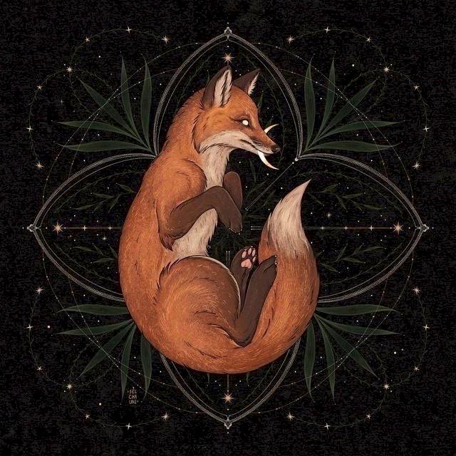 Фото профиля Foxmari