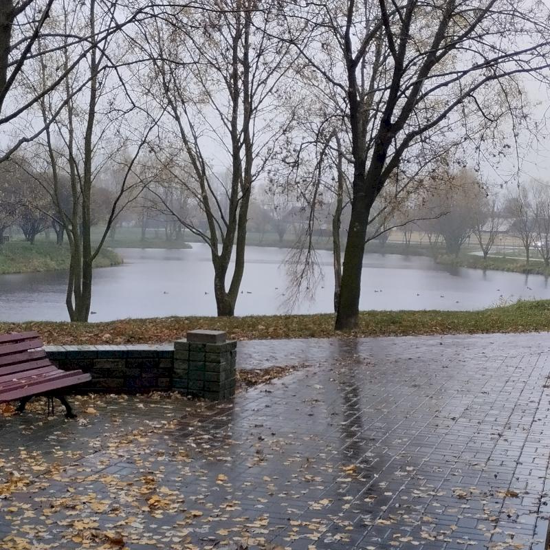 Фото профиля Сергей Куст