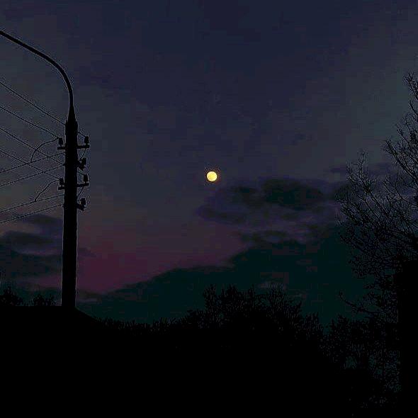 Фото профиля Лисёнок