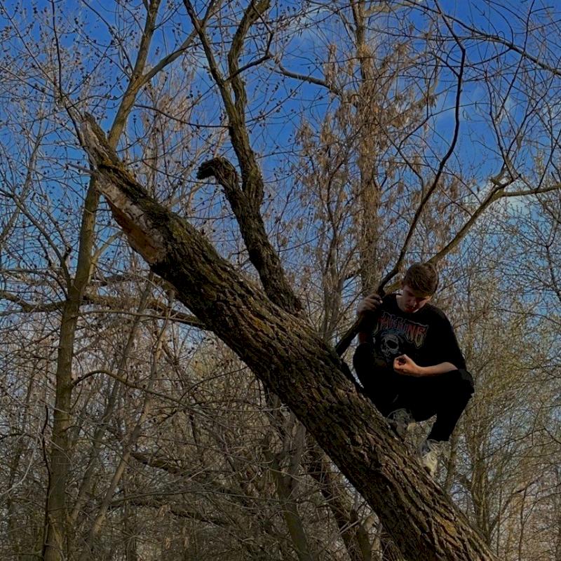 Фото профиля molio