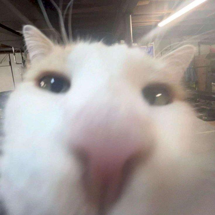 Фото профиля Даня