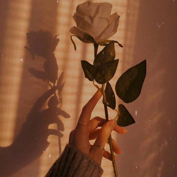 Фото профиля Лина