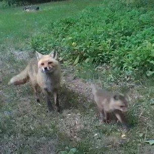 Фото профиля alches201