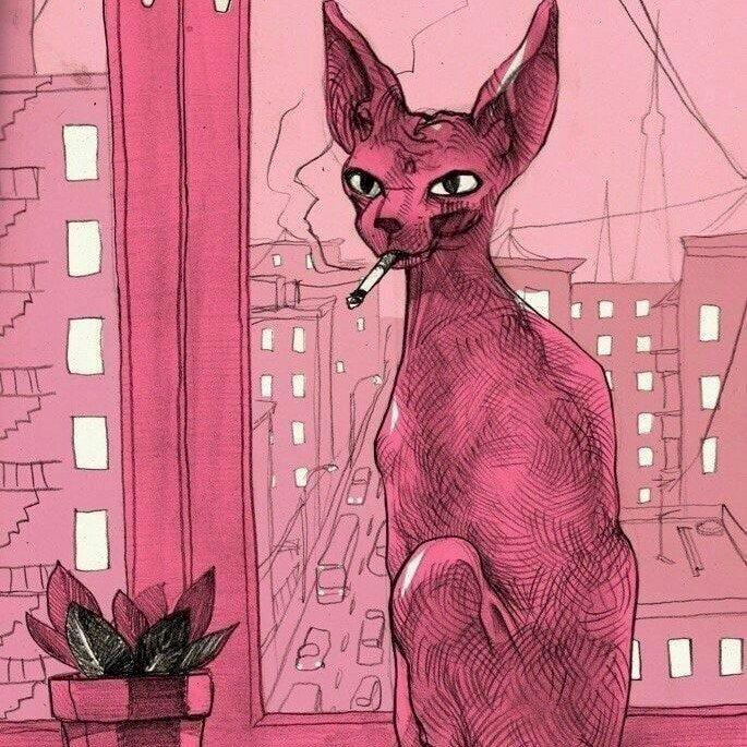 Фото профиля miss LM