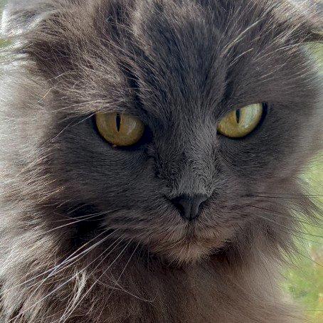 Фото профиля Дмитрий Кислинский 