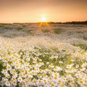 Фото профиля Марилён