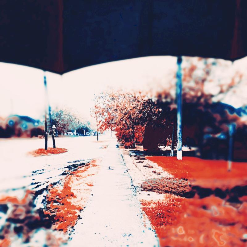 Фото профиля Даниил Рагимов