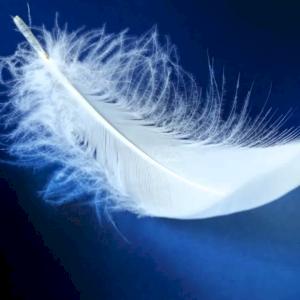 Фото профиля Безликий 