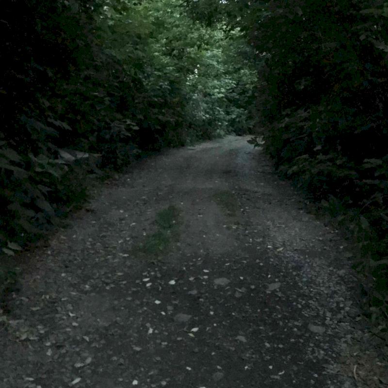 Фото профиля Дмитрий Вэйт 