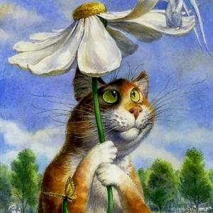 Фото профиля Spilse