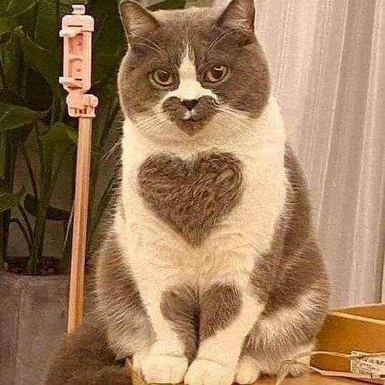 Фото профиля Михаил  Гологутский